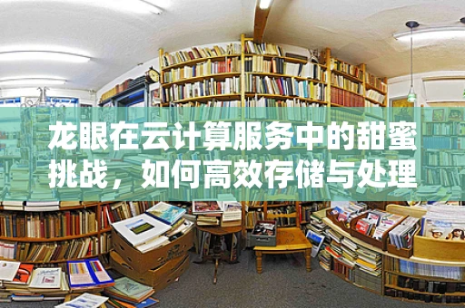 龙眼在云计算服务中的甜蜜挑战，如何高效存储与处理海量数据？