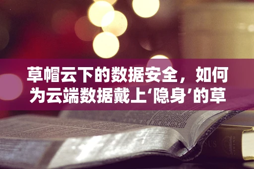 草帽云下的数据安全，如何为云端数据戴上‘隐身’的草帽？