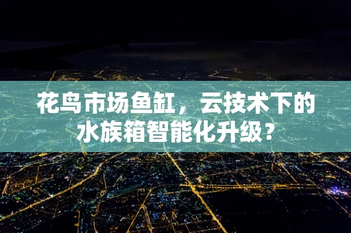 花鸟市场鱼缸，云技术下的水族箱智能化升级？