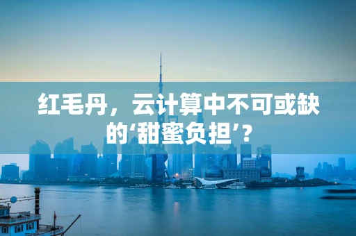 红毛丹，云计算中不可或缺的‘甜蜜负担’？