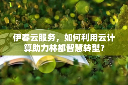 伊春云服务，如何利用云计算助力林都智慧转型？