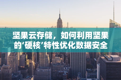 坚果云存储，如何利用坚果的‘硬核’特性优化数据安全与访问？