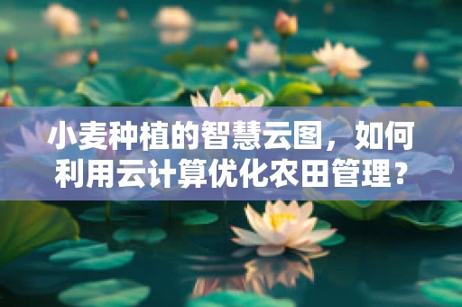 小麦种植的智慧云图，如何利用云计算优化农田管理？