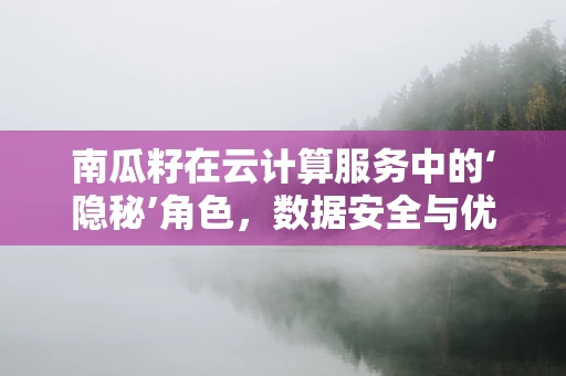 南瓜籽在云计算服务中的‘隐秘’角色，数据安全与优化的新钥匙？