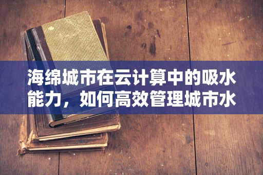 海绵城市在云计算中的吸水能力，如何高效管理城市水资源？