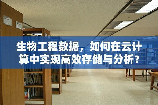 生物工程数据，如何在云计算中实现高效存储与分析？