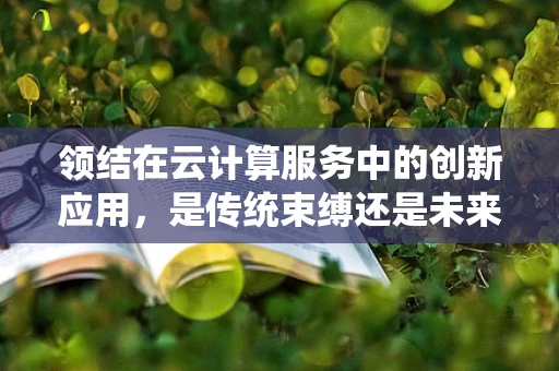 领结在云计算服务中的创新应用，是传统束缚还是未来趋势的象征？