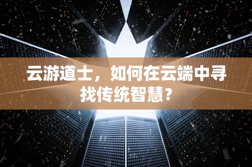 云游道士，如何在云端中寻找传统智慧？