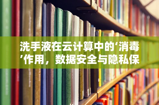 洗手液在云计算中的‘消毒’作用，数据安全与隐私保护的云端新视角