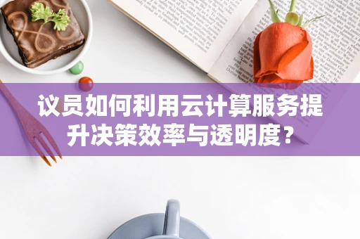 议员如何利用云计算服务提升决策效率与透明度？