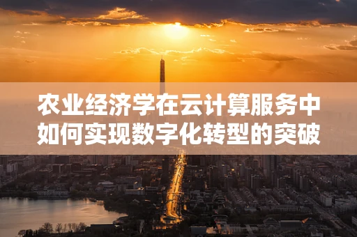 农业经济学在云计算服务中如何实现数字化转型的突破？