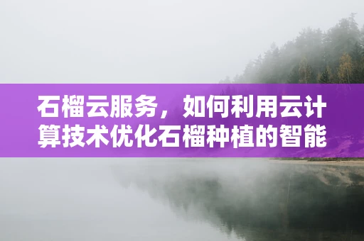 石榴云服务，如何利用云计算技术优化石榴种植的智能化管理？