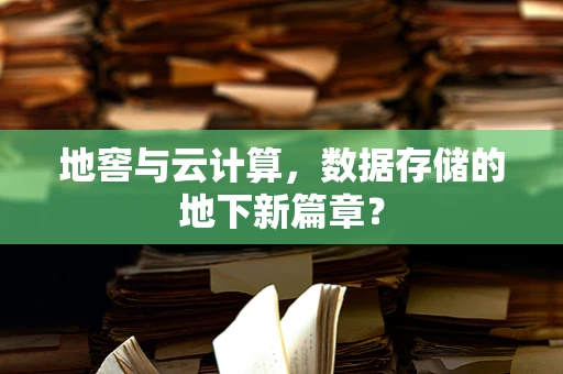 地窖与云计算，数据存储的地下新篇章？