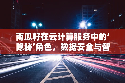 南瓜籽在云计算服务中的‘隐秘’角色，数据安全与智能分析的钥匙？