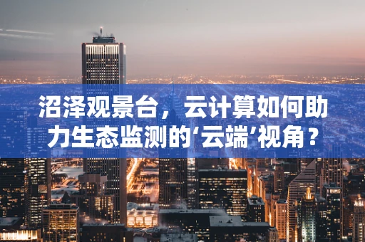 沼泽观景台，云计算如何助力生态监测的‘云端’视角？