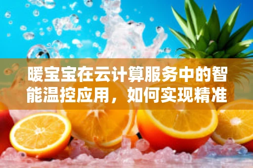 暖宝宝在云计算服务中的智能温控应用，如何实现精准舒适？