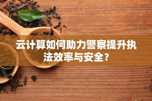 云计算如何助力警察提升执法效率与安全？