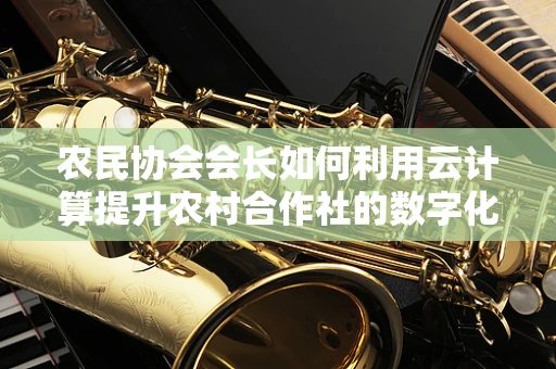 农民协会会长如何利用云计算提升农村合作社的数字化管理水平？