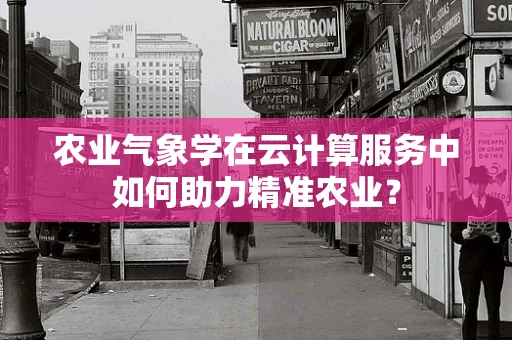 农业气象学在云计算服务中如何助力精准农业？