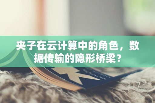 夹子在云计算中的角色，数据传输的隐形桥梁？