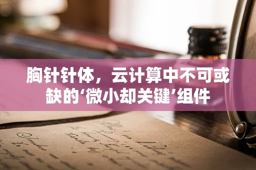 胸针针体，云计算中不可或缺的‘微小却关键’组件