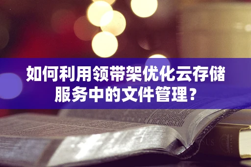 如何利用领带架优化云存储服务中的文件管理？