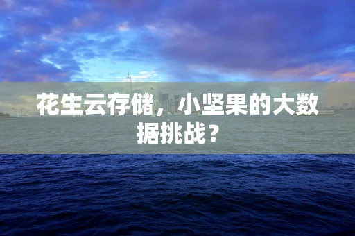 花生云存储，小坚果的大数据挑战？