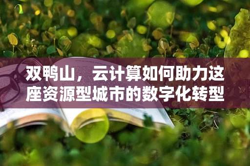 双鸭山，云计算如何助力这座资源型城市的数字化转型？