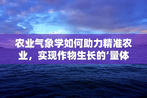 农业气象学如何助力精准农业，实现作物生长的‘量体裁衣’？