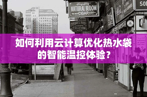 如何利用云计算优化热水袋的智能温控体验？