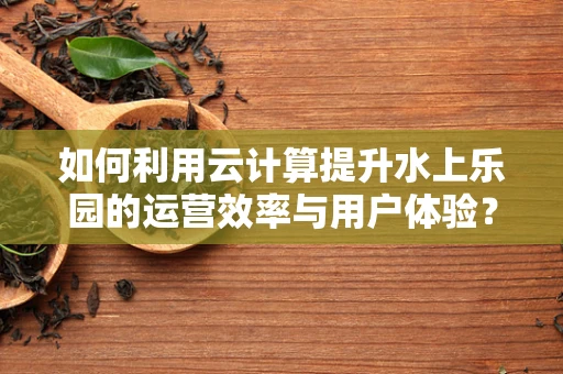 如何利用云计算提升水上乐园的运营效率与用户体验？