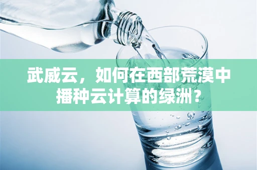 武威云，如何在西部荒漠中播种云计算的绿洲？